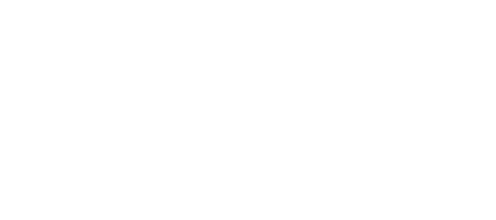 BonibiCase